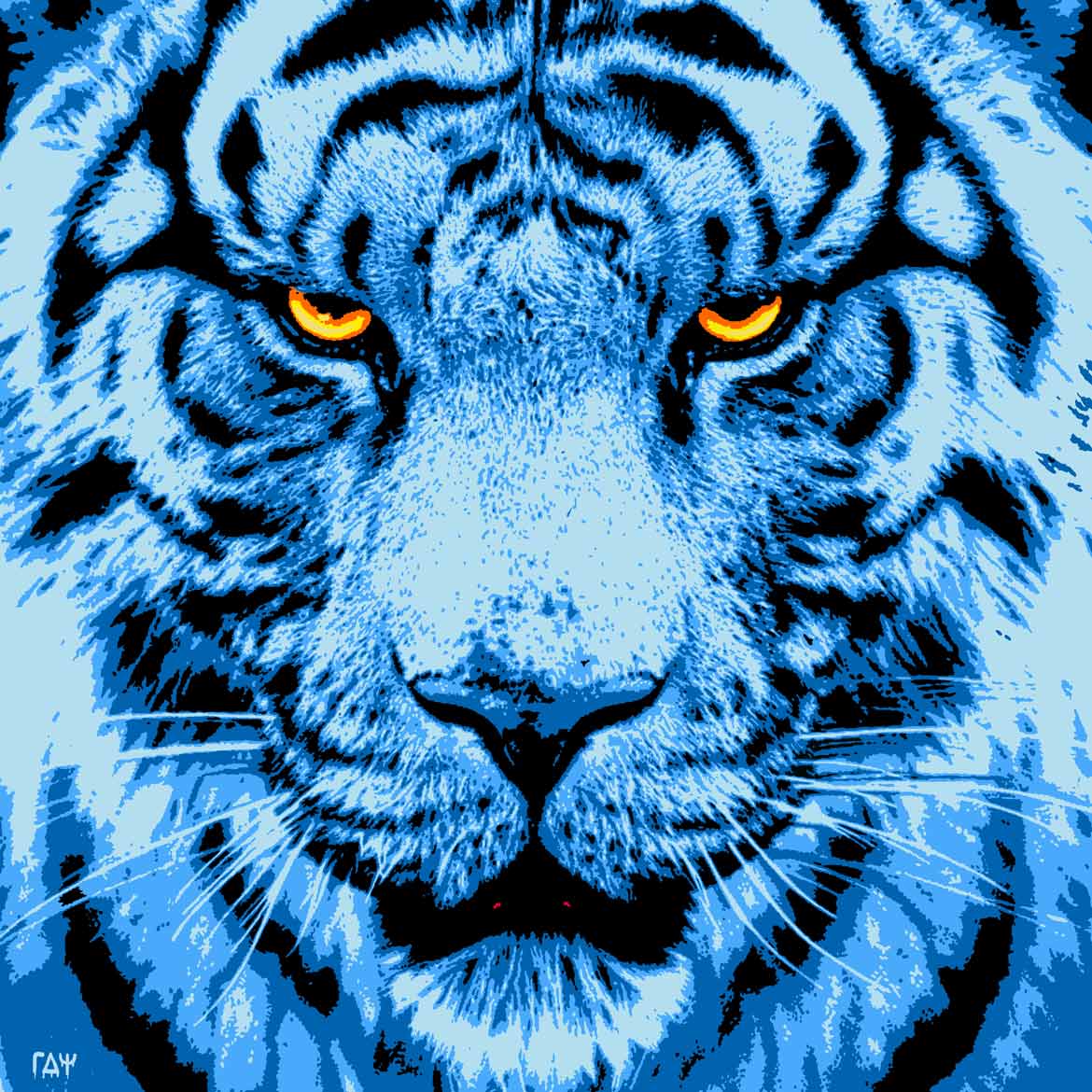 Tiger on Blue